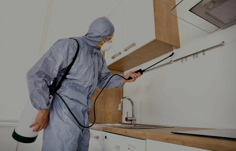 San Rafael pest managment